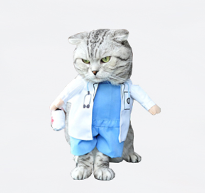 Doctor-Mundo-Gato