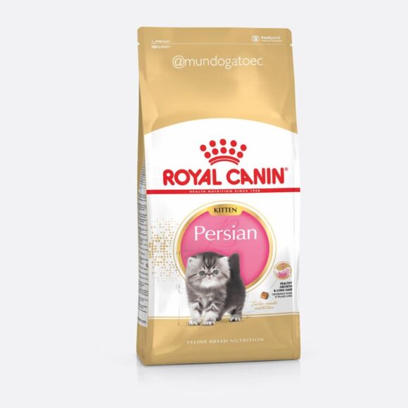 Royal-canin-Kitten-Persian
