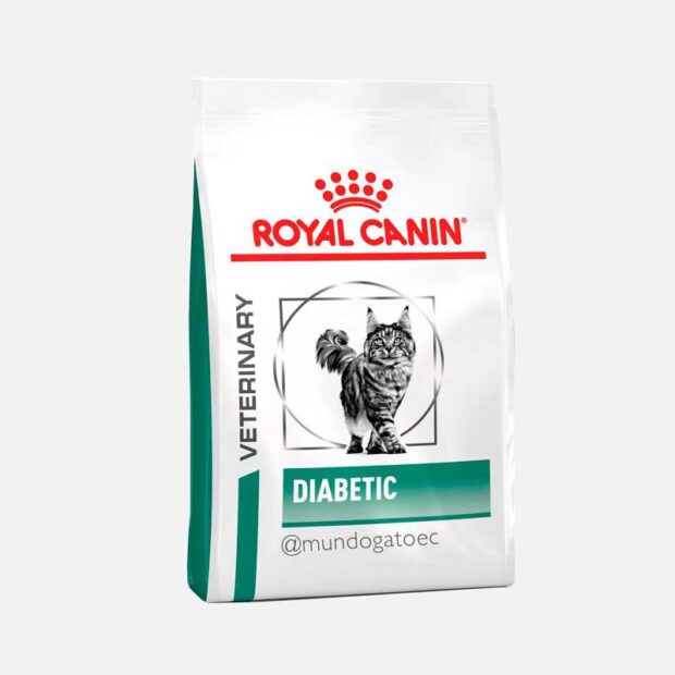 Royal-Canin-Diabetic-gato