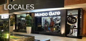 LOCAL MUNDO GATO