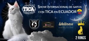 boton-TICA-2026