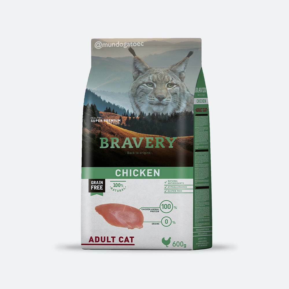 BRAVERY600GR